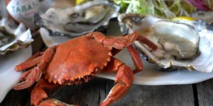 crab 4